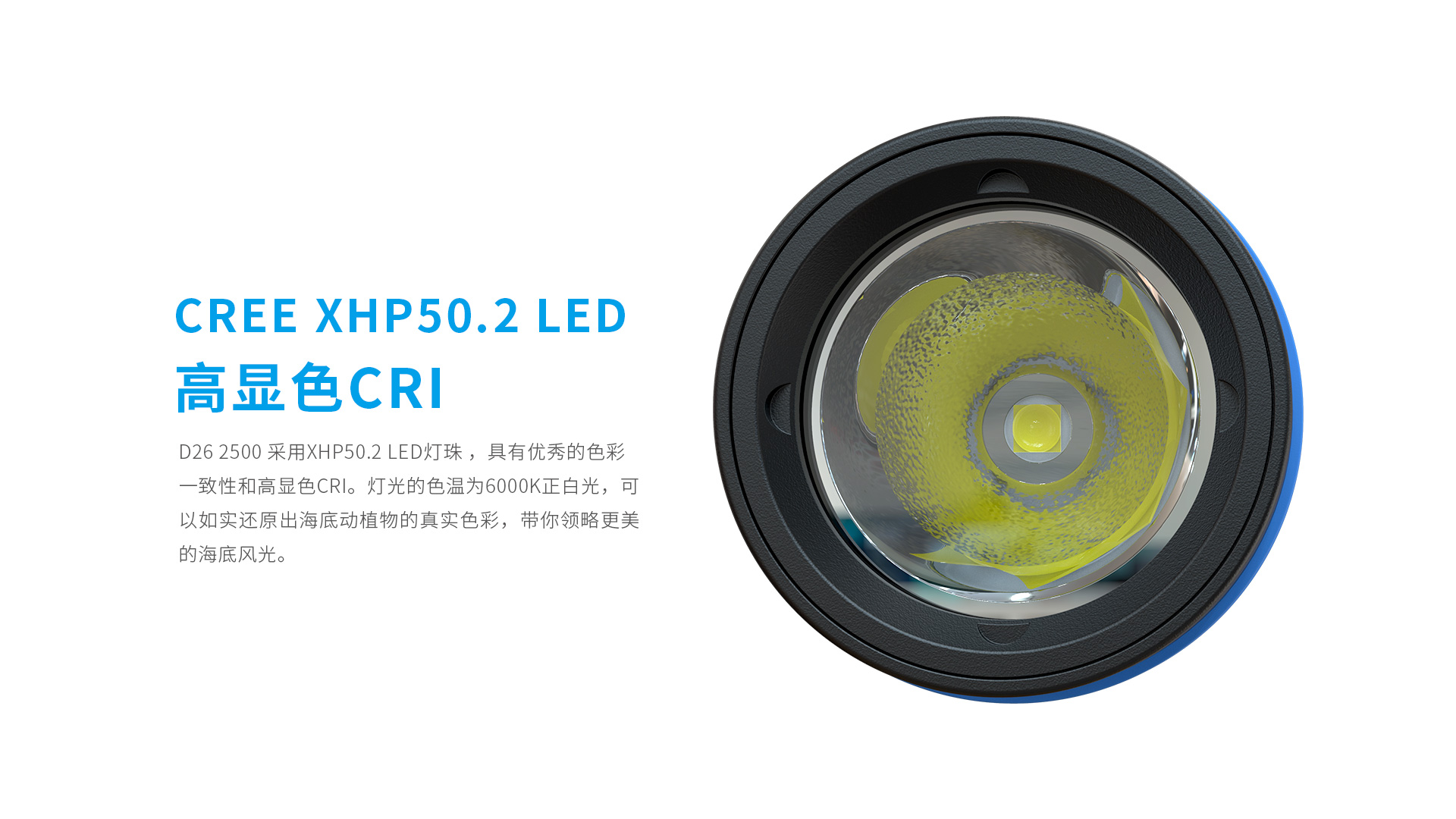 D26 2500 长筒身款