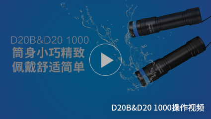 BB视讯-潜水手电筒D20&D20B
