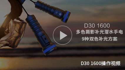BB视讯-潜水手电筒D30 1600