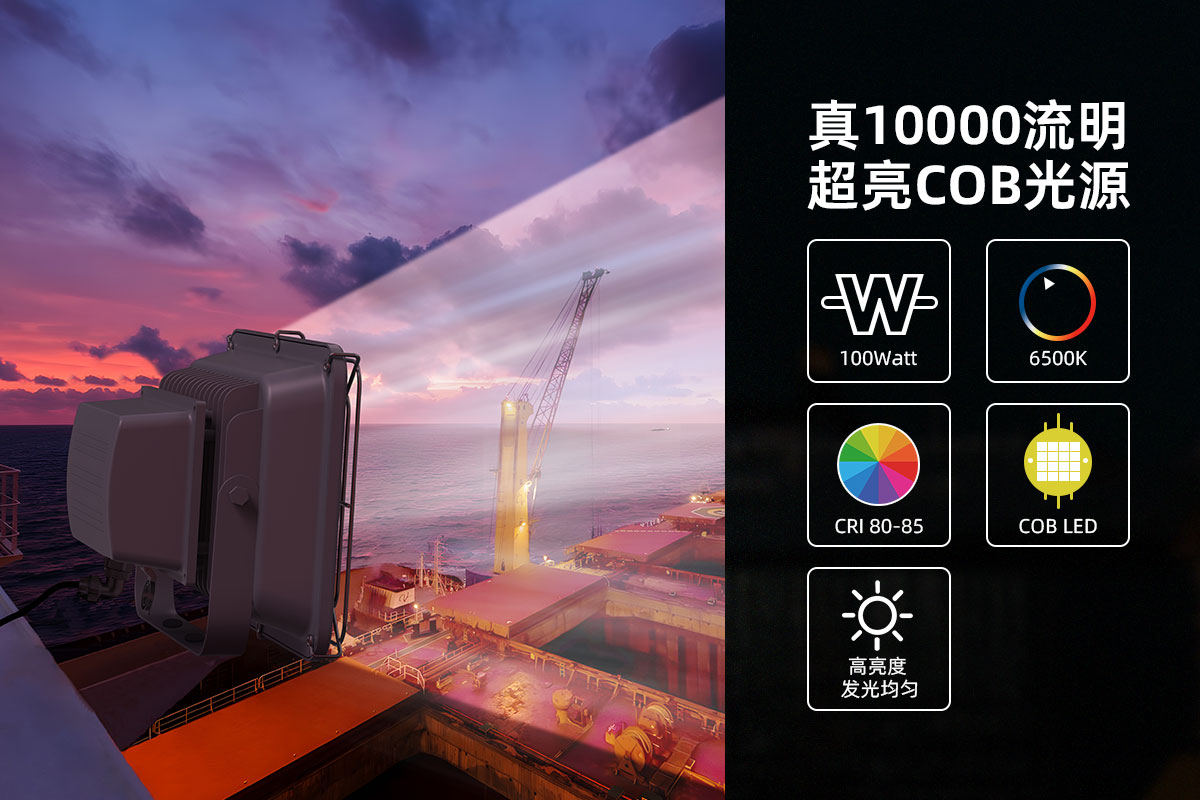 BB视讯 MarineGlow WPL1 10000流明 安全型泛光灯